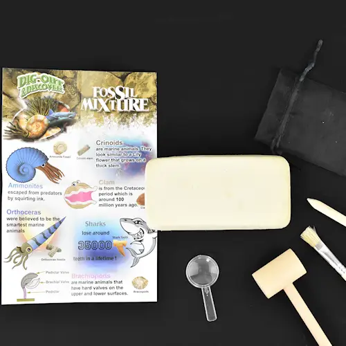 DIG IT OUT & DISCOVER FOSSILS