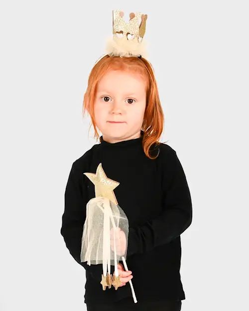 CROWN AND GOLD WAND SET