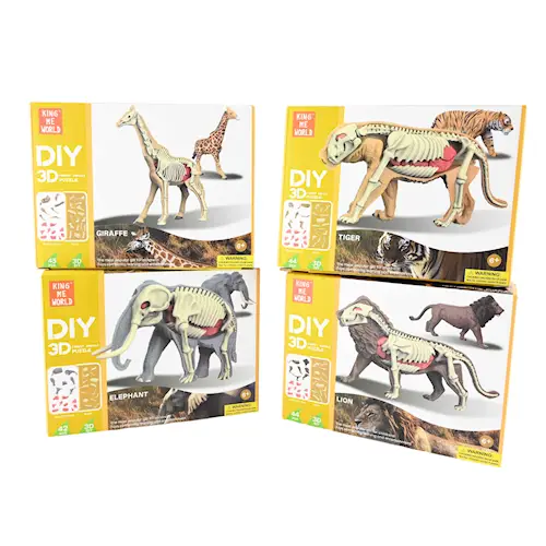 DISSECTION WILD ANIMALS 3D DIY