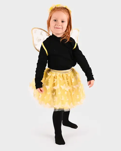 TUTU BUTTERFLY FAIRY SET