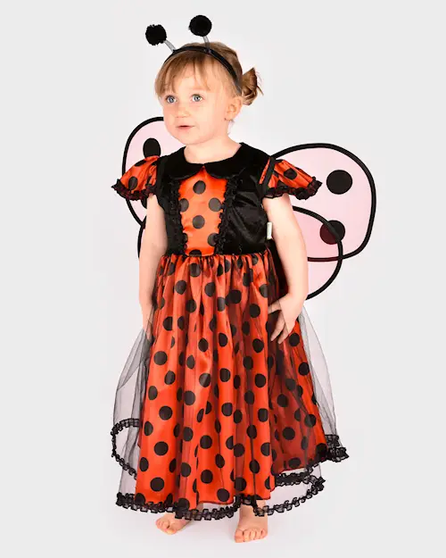 DRESS LADYBUG w ACC