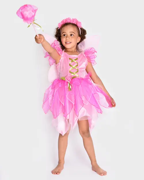 FAIRY DRESS+WINGS+DIADEM+WAND