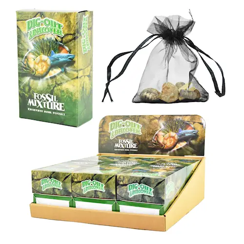 DIG IT OUT & DISCOVER FOSSILS