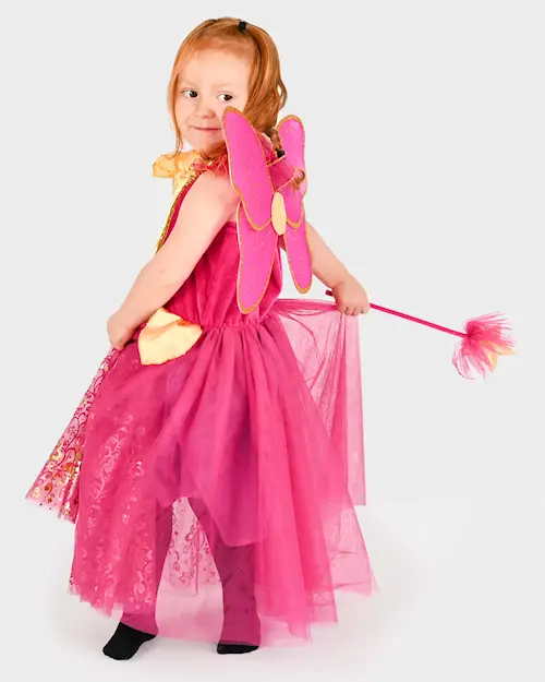 DRESS PLUM FAIRY SET