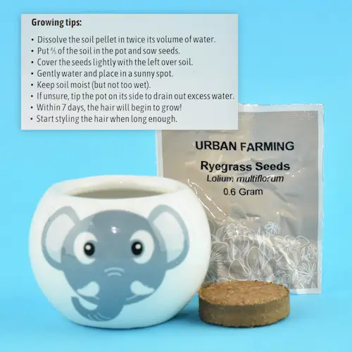 GROWING GRASS KIT JUNGLE ANIMALS