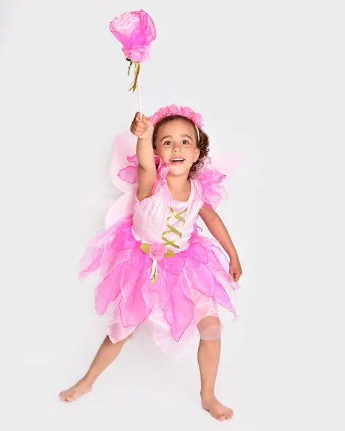 FAIRY DRESS+WINGS+DIADEM+WAND