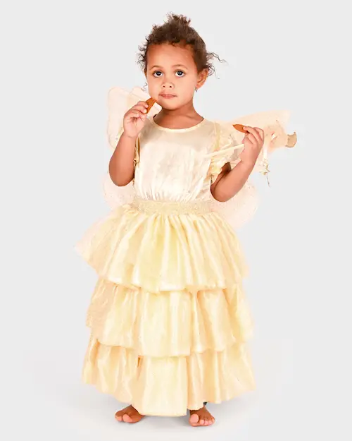 DRESS GOLD FAIRY SET