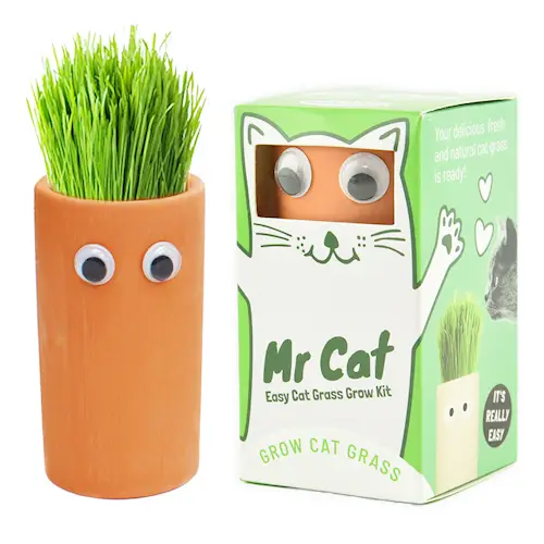 GROWING GRASS KIT (CAT GRASS)