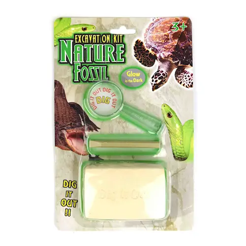 DIG IT OUT NATURE FOSSIL gid 3pcs