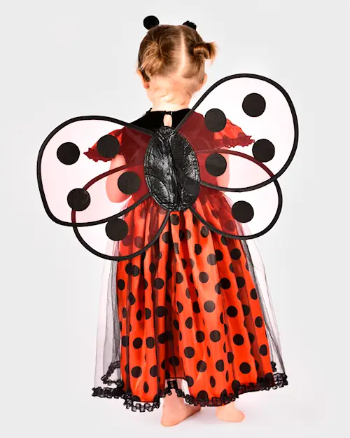DRESS LADYBUG w ACC