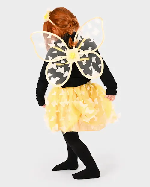 TUTU BUTTERFLY FAIRY SET