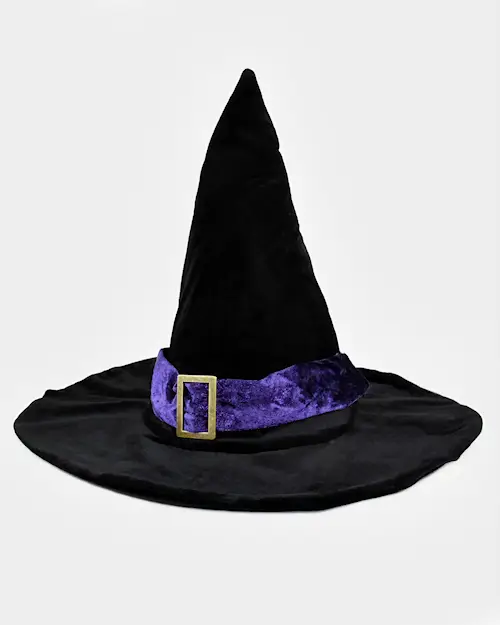WIZARD/WITCH HAT VELVET DELUXE