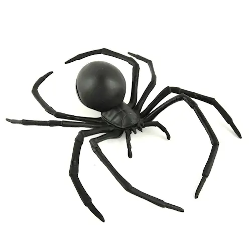 SPIDER BLACK WIDOW