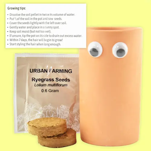 GROWING GRASS KIT (CAT GRASS)