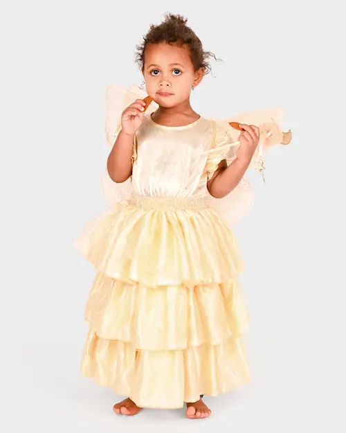 DRESS GOLD FAIRY SET