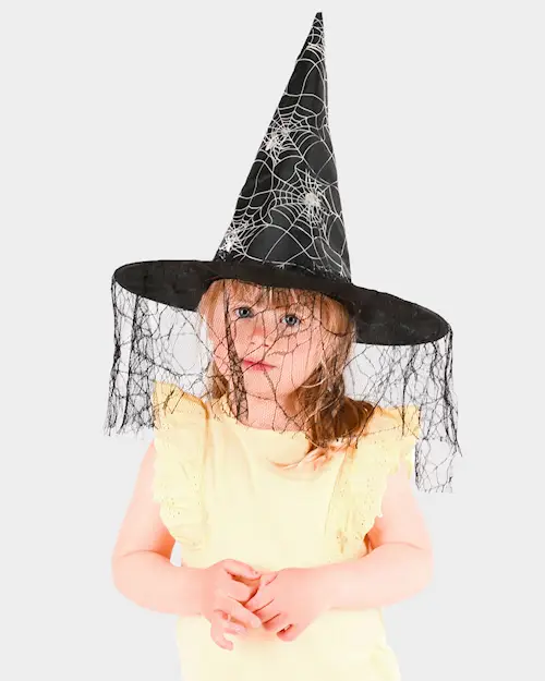 WITCH HAT BLACK SILVER SPIDER WEB VEIL