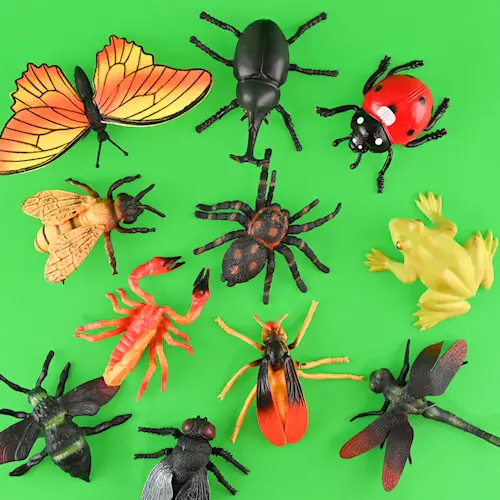 INSECTS