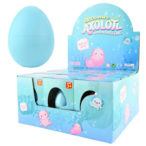 GROWING EGG AXOLOTL