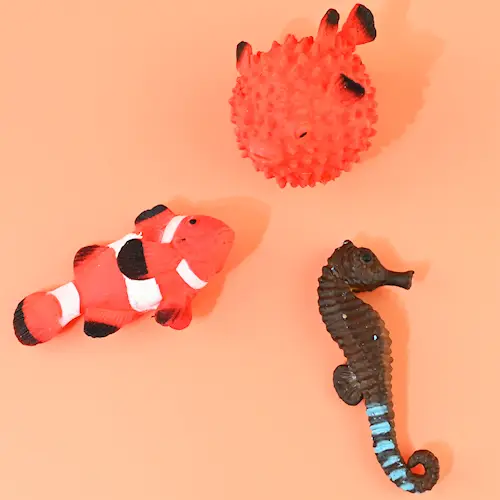 SEA ANIMAL CHANGE COLOR