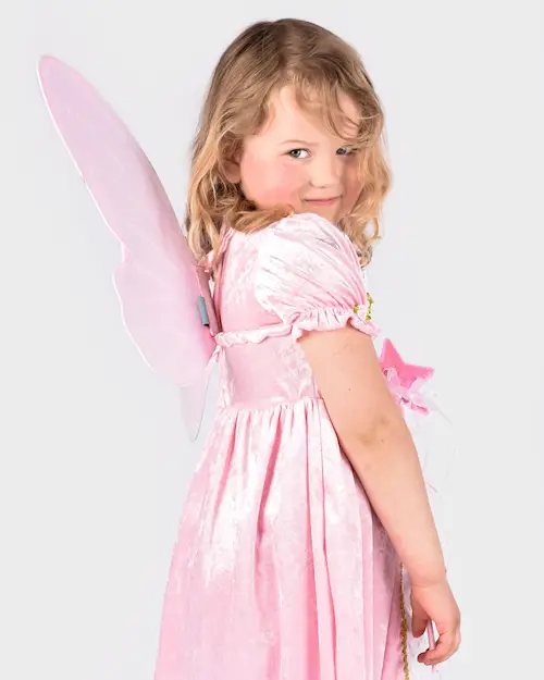 FAIRY WINGS PINK