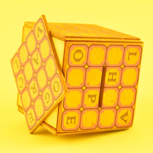 PUZZLE COIN BOX MENSA