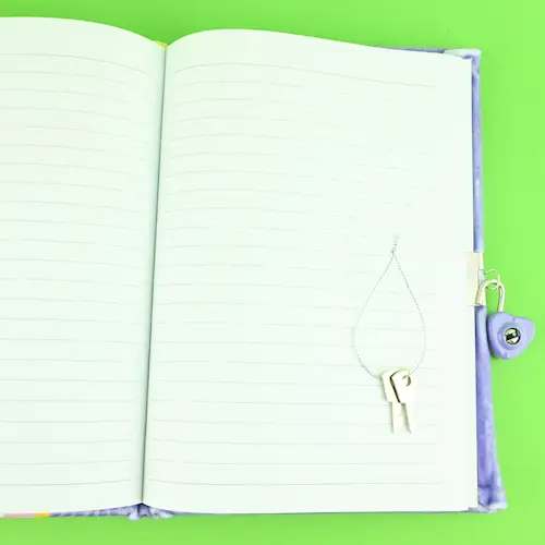 NOTEBOOK FLUFFY FRIES w LOCK A5