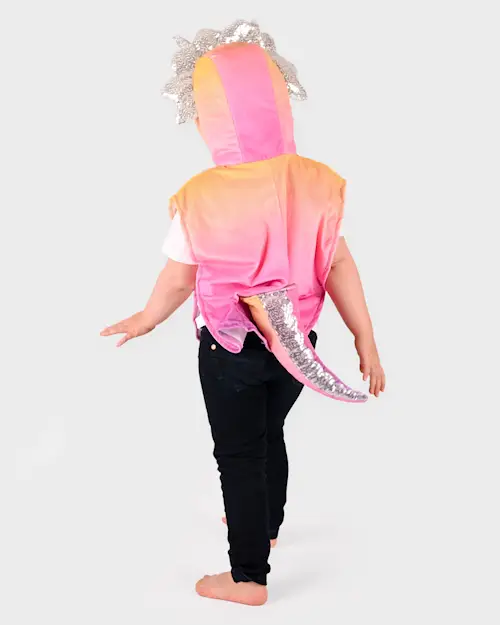 MINI CAPE RAINBOW TRICERATOPS