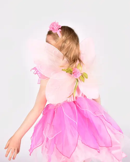 FAIRY DRESS+WINGS+DIADEM+WAND