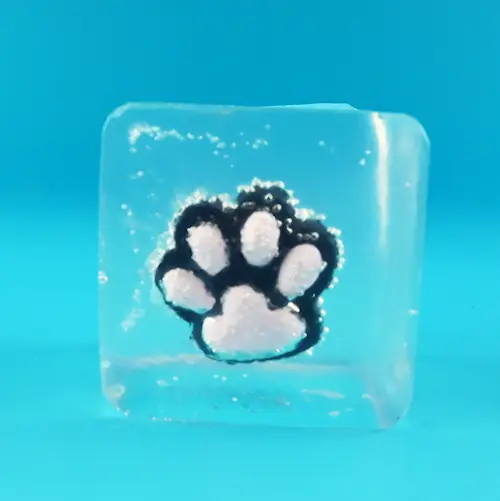 SQUEEZE ICE CUBE CAT PAW