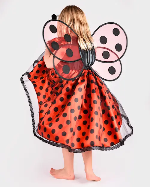 DRESS LADYBUG w ACC