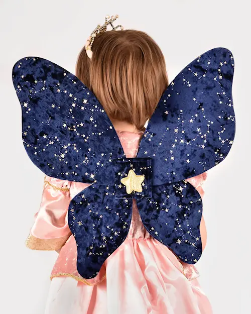 WINGS VELVET NIGHT SKY