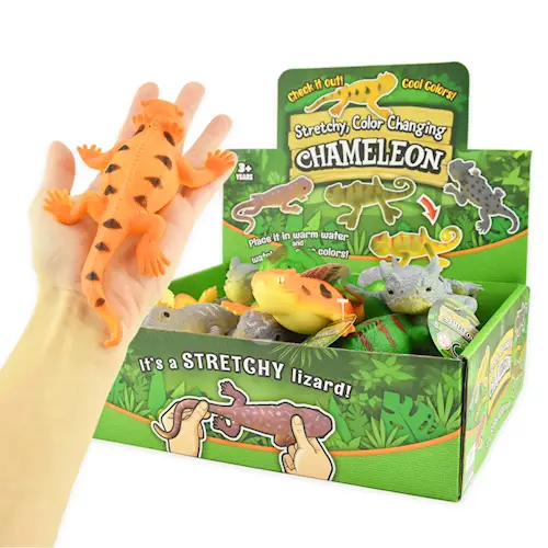 LIZARD COLOR CHANGING