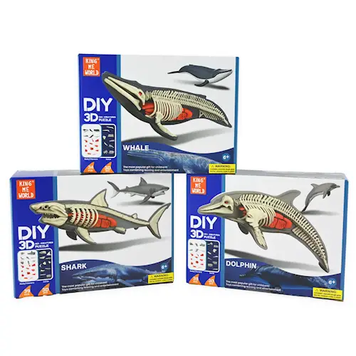 DISSECTION OCEAN ANIMALS 3D DIY