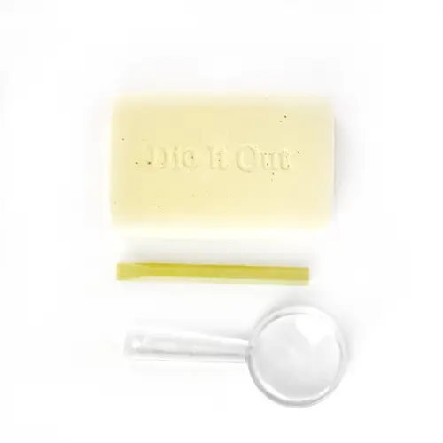 DIG IT OUT NATURE FOSSIL gid 3pcs