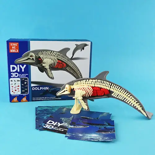 DISSECTION OCEAN ANIMALS 3D DIY