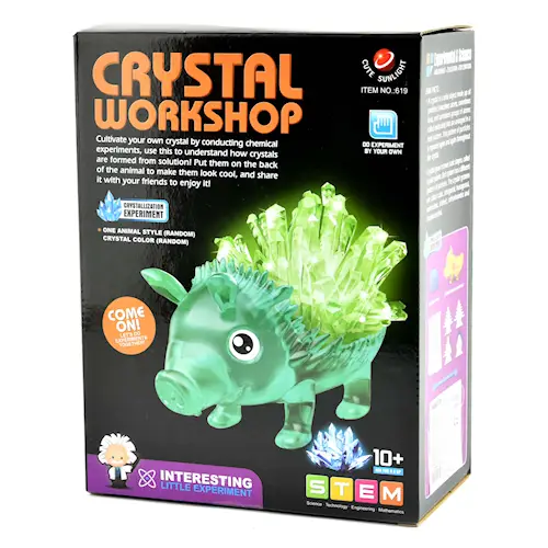 CRYSTAL WORKSHOP ABS
